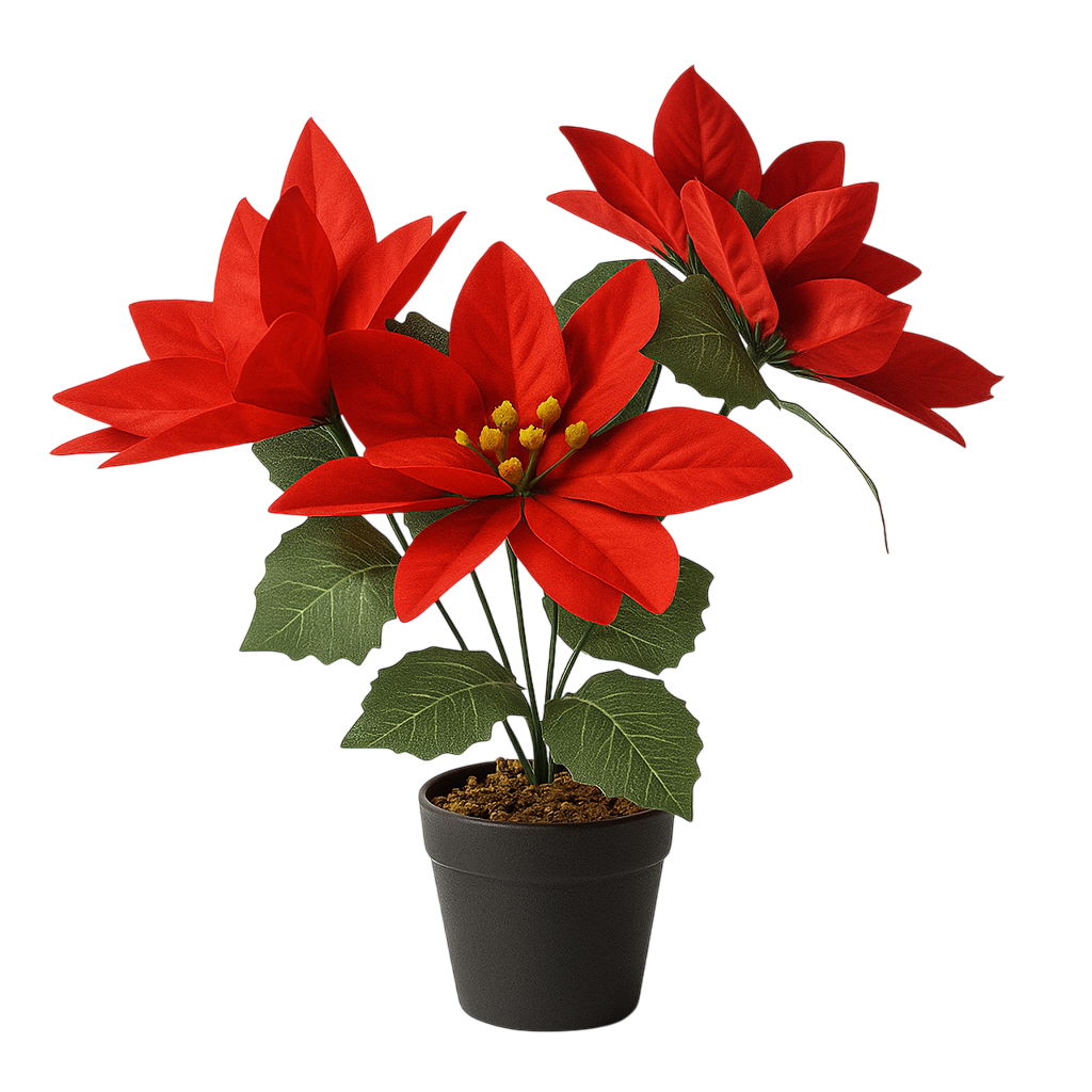 Flor de Pascua