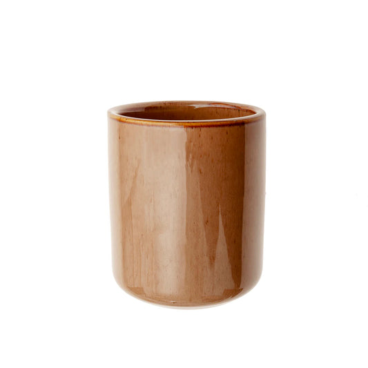 Vaso cepillo dientes 300ml