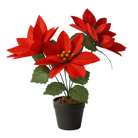 Flor de Pascua