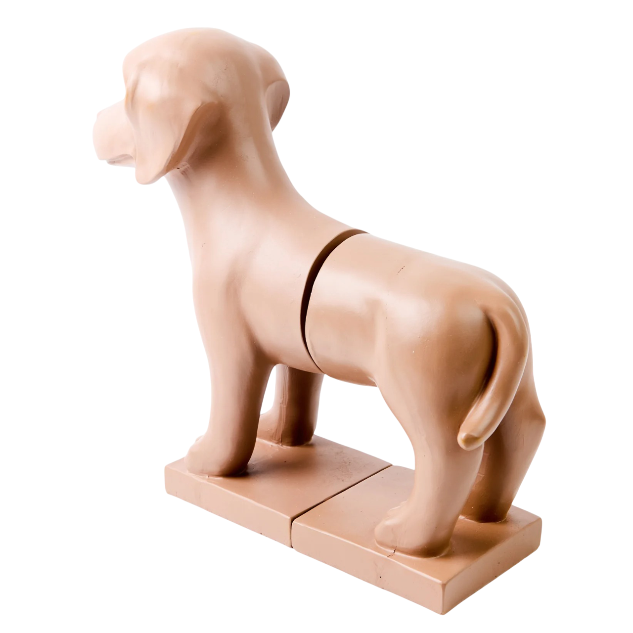 Sujetalibros de cachorro 2