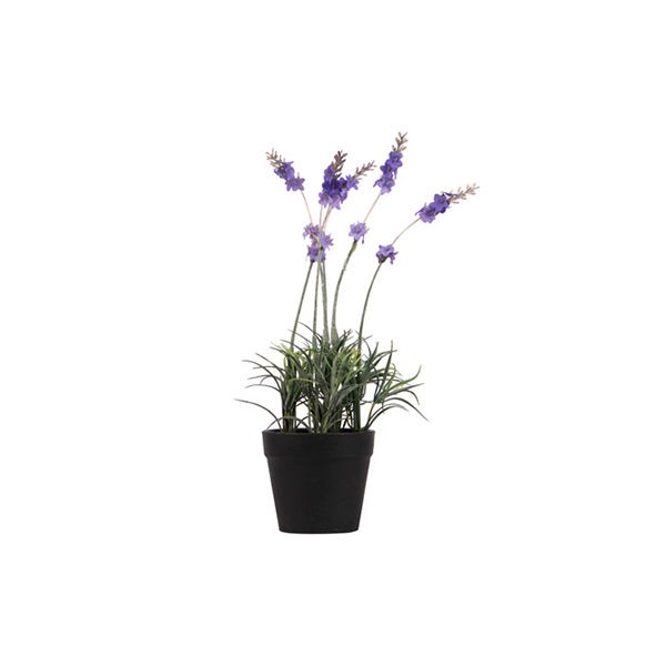 Maceta Lavanda 28cm