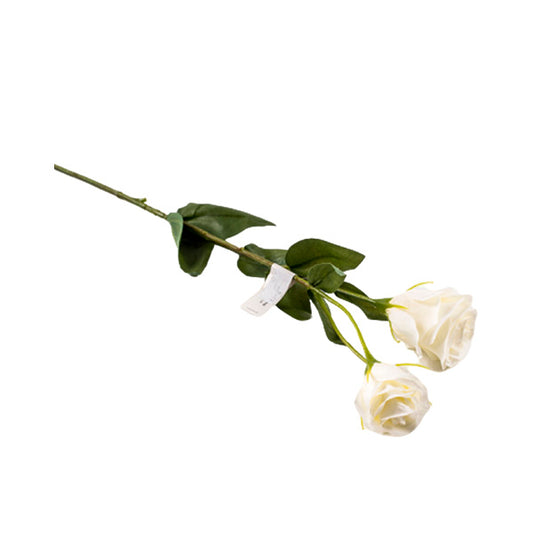 Rama Lisianthus