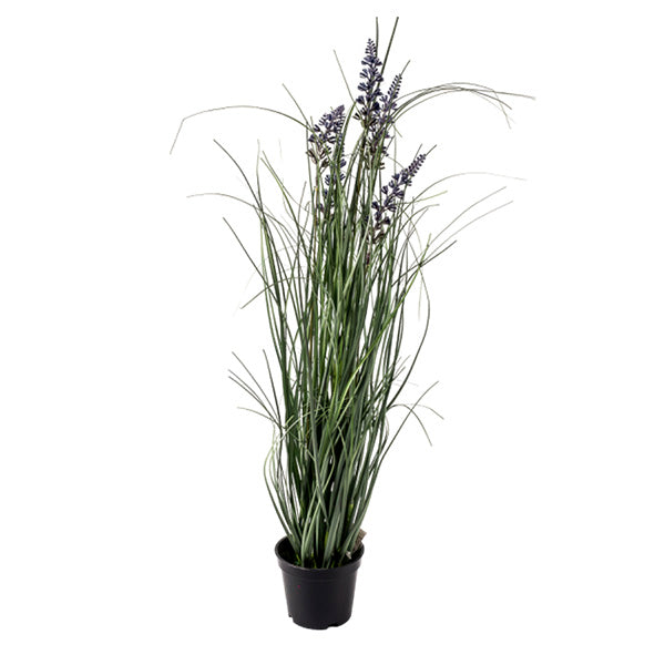 Maceta Lavanda 62cm
