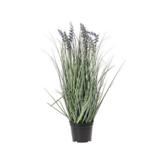 Maceta Lavanda 60cm